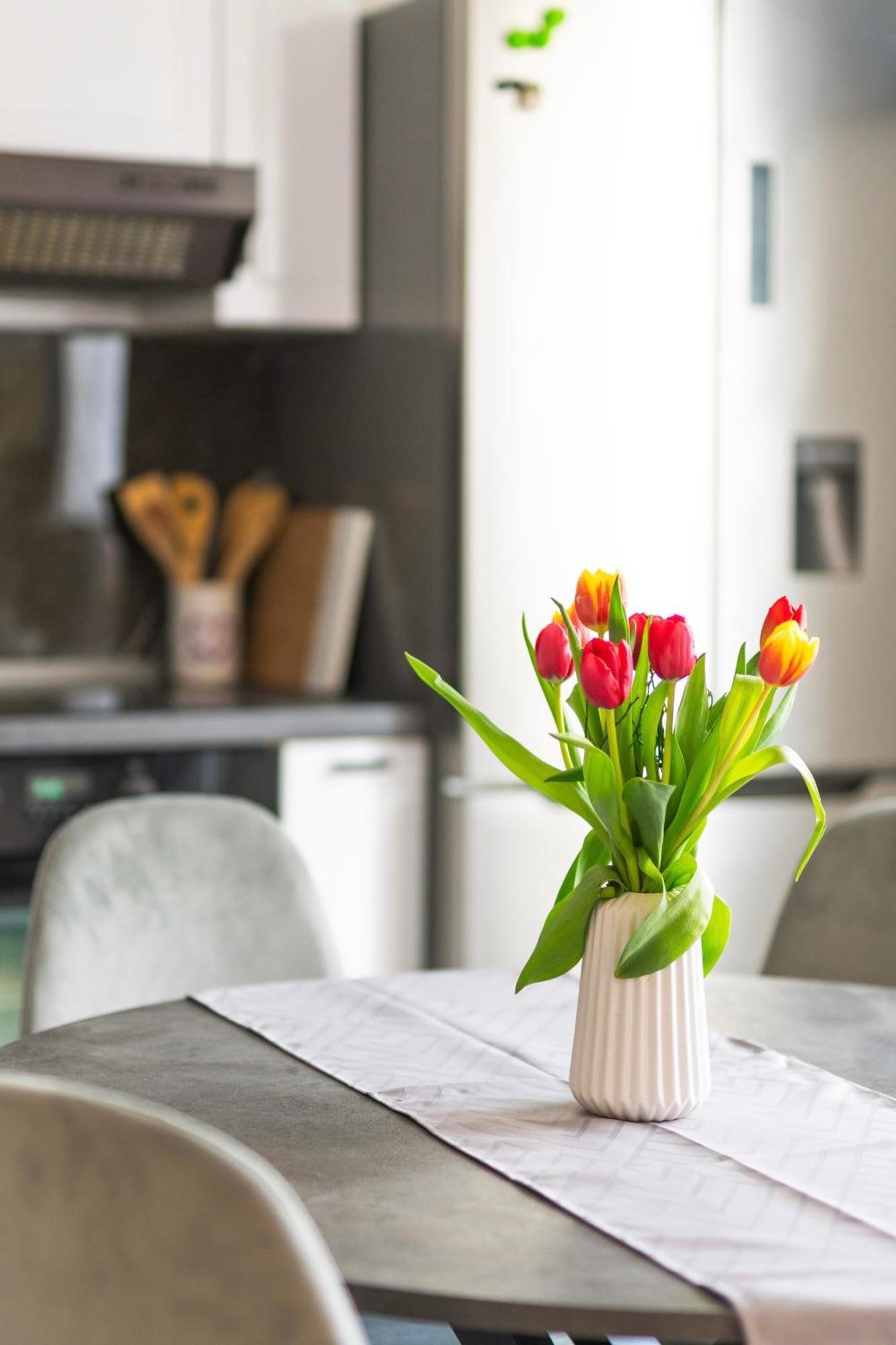 Apartment Vita Izola Zewnętrze zdjęcie